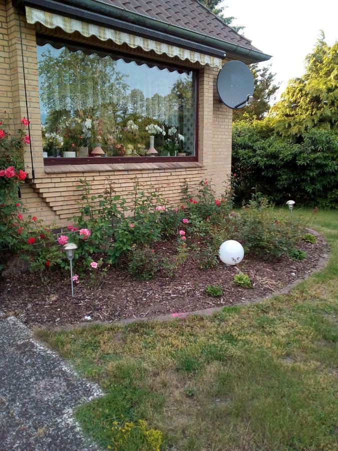 Ferienwohnung Bohndorf Exteriör bild